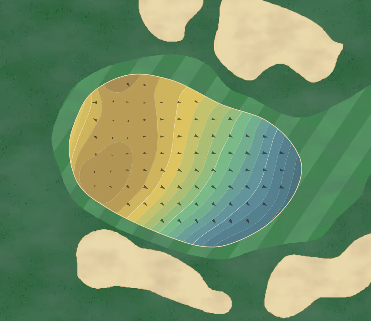 Green contour map of Innisbrook in Palm Harbor, Florida — 307 elevation contours at a 3-inch interval with fall-line arrows, traced from 1-meter lidar