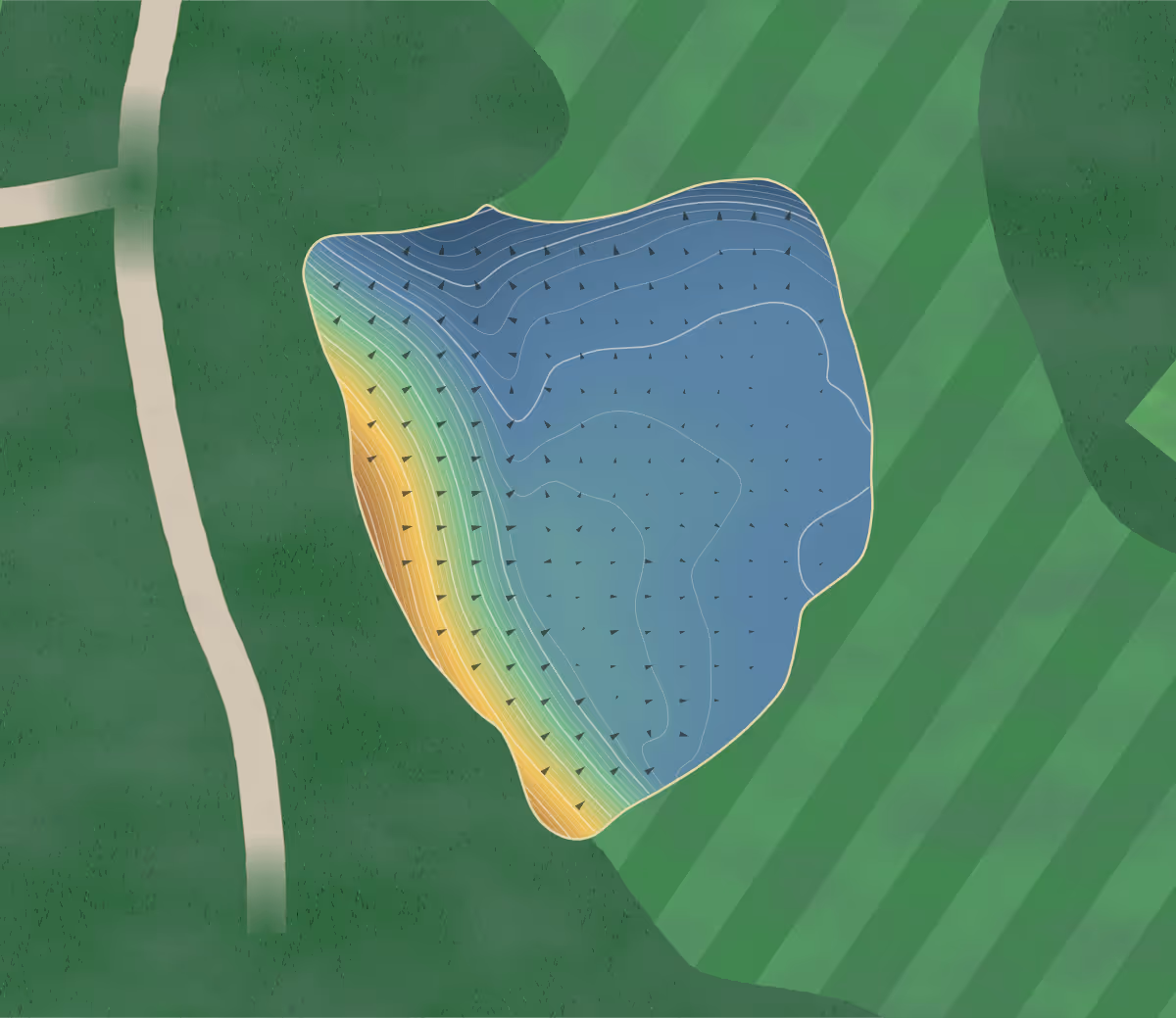 Green contour map of Interlachen in Edina, Minnesota — 425 elevation contours at a 3-inch interval with fall-line arrows, traced from 1-meter lidar