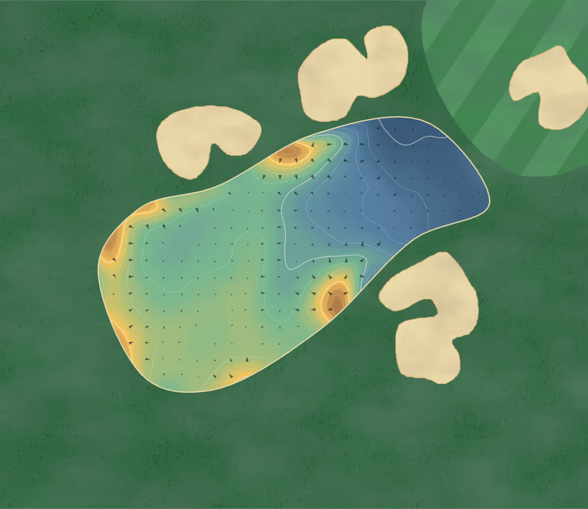 Green contour map of Ipswich in Ipswich, England — 231 elevation contours at a 8-centimeter interval with fall-line arrows, traced from 1-meter lidar