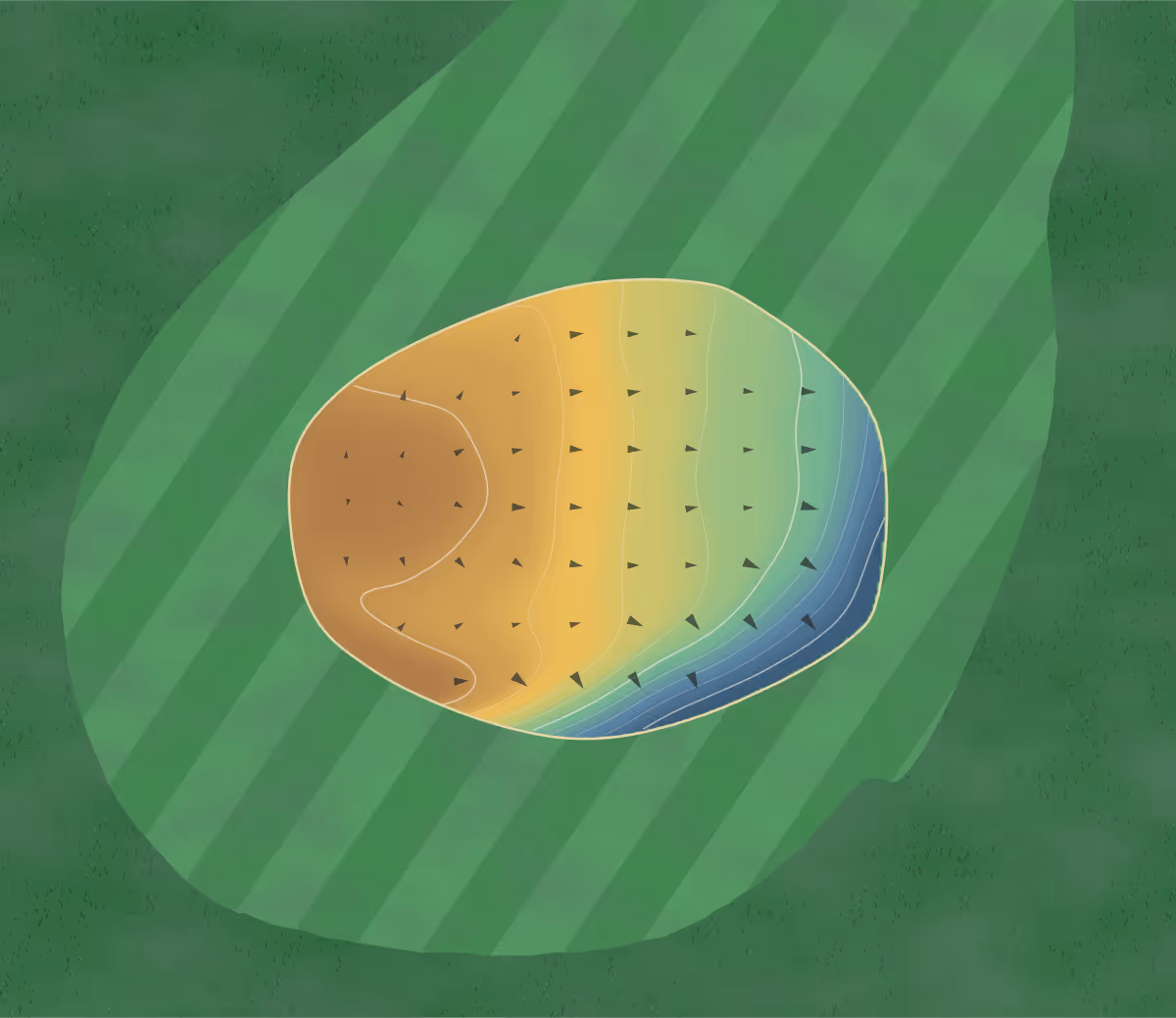 Green contour map of Ironwoods Golf in Greater Madawaska, Canada: 35 elevation contours at a 8-centimeter interval with fall-line arrows, traced from 1-meter lidar