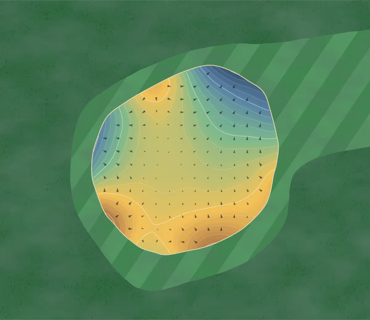 Green contour map of Island Pine in Atwater, Minnesota — 224 elevation contours at a 3-inch interval with fall-line arrows, traced from 1-meter lidar