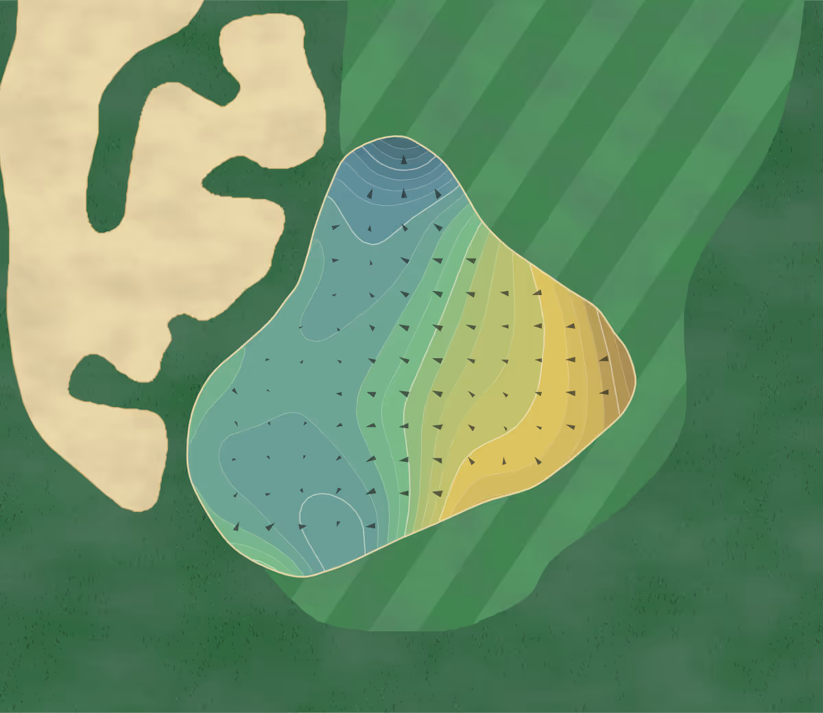 Green contour map of Isleworth in Windermere, Florida — 221 elevation contours at a 3-inch interval with fall-line arrows, traced from 1-meter lidar