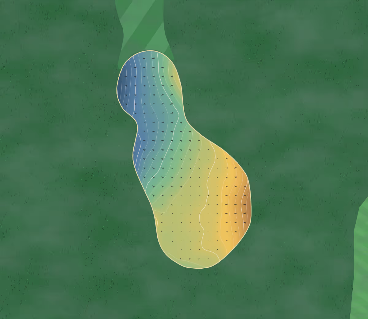 Green contour map of Jackson Park in Seattle, Washington — 193 elevation contours at a 3-inch interval with fall-line arrows, traced from 1-meter lidar