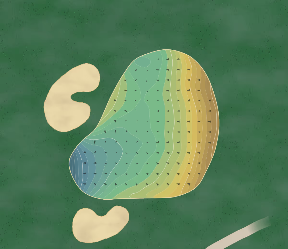 Green contour map of James Baird in Pleasant Valley, New York — 199 elevation contours at a 3-inch interval with fall-line arrows, traced from 1-meter lidar