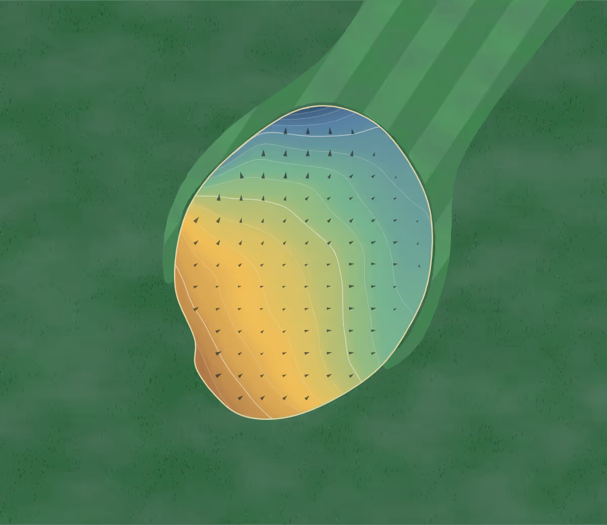 Green contour map of Jester Park in Granger, Iowa: 152 elevation contours at a 3-inch interval with fall-line arrows, traced from 1-meter lidar