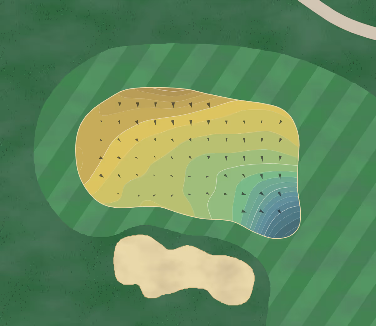Green contour map of Jones Creek in Evans, Georgia — 230 elevation contours at a 3-inch interval with fall-line arrows, traced from 1-meter lidar
