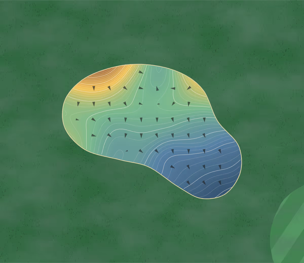 Green contour map of Jupiter Island Club in Hobe Sound, Florida — 560 elevation contours at a 3-inch interval with fall-line arrows, traced from 1-meter lidar
