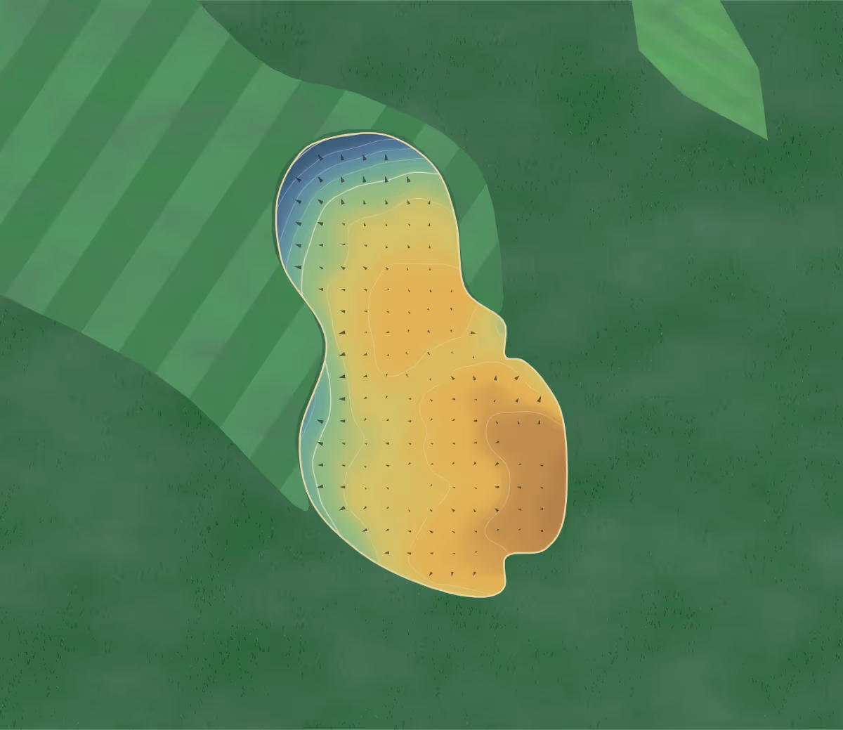 Green contour map of Kachurs in Prince Albert, Canada — 93 elevation contours at a 8-centimeter interval with fall-line arrows, traced from 1-meter lidar