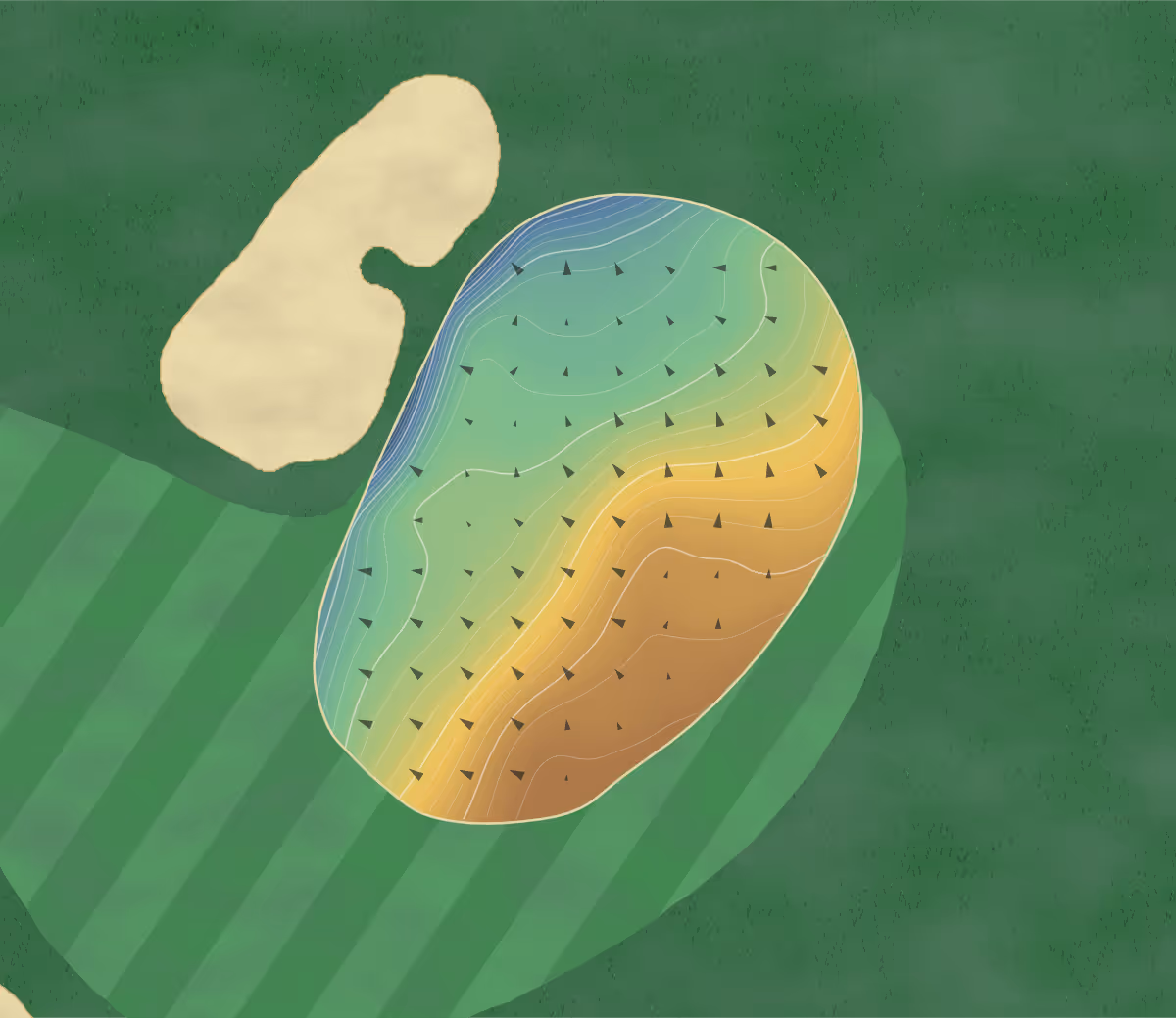 Green contour map of Kapalua Resort in Lahaina, Hawaii — 300 elevation contours at a 3-inch interval with fall-line arrows, traced from 1-meter lidar