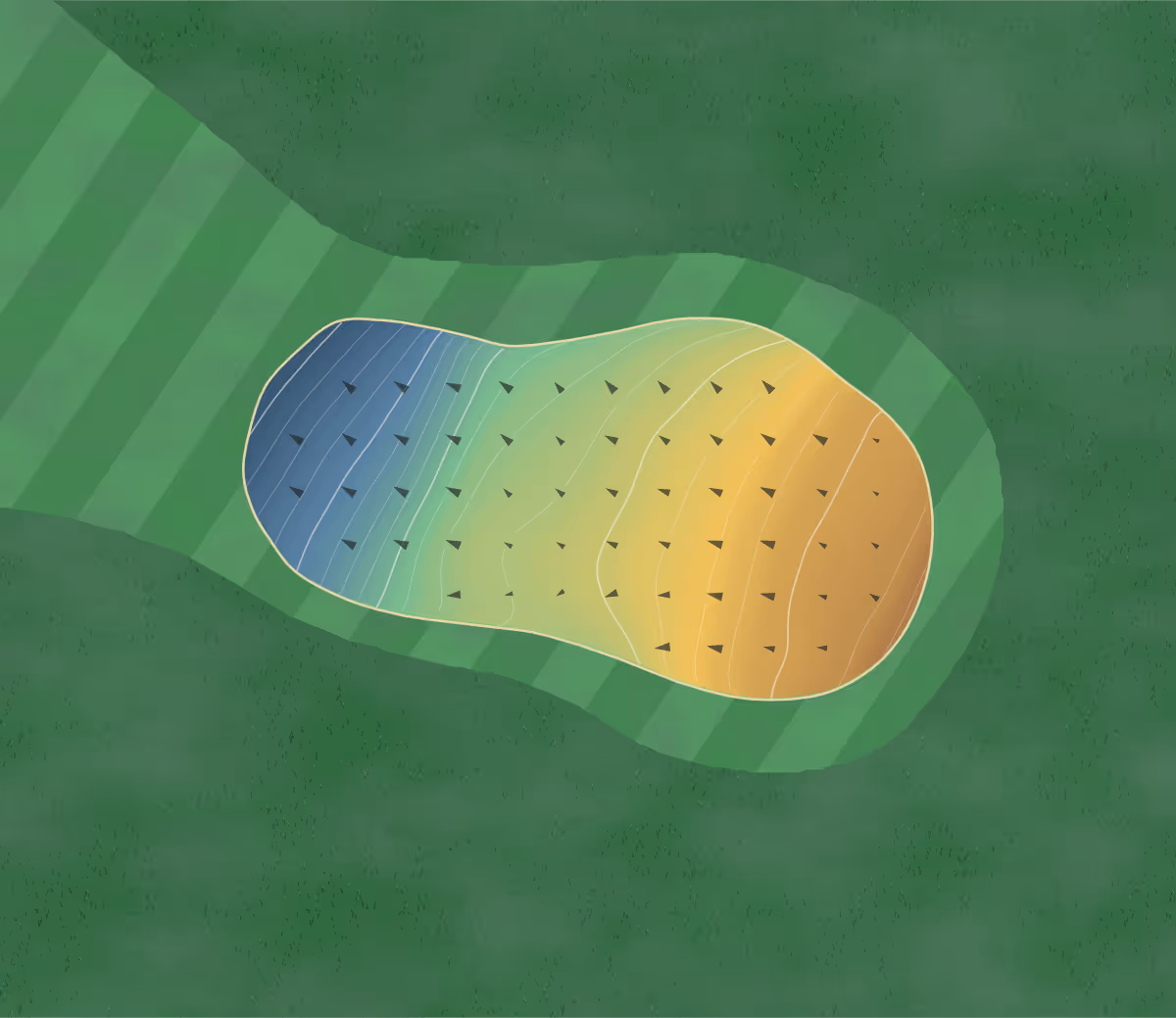Green contour map of Kapiti in Paraparaumu, New Zealand — 100 elevation contours at a 8-centimeter interval with fall-line arrows, traced from 1-meter lidar
