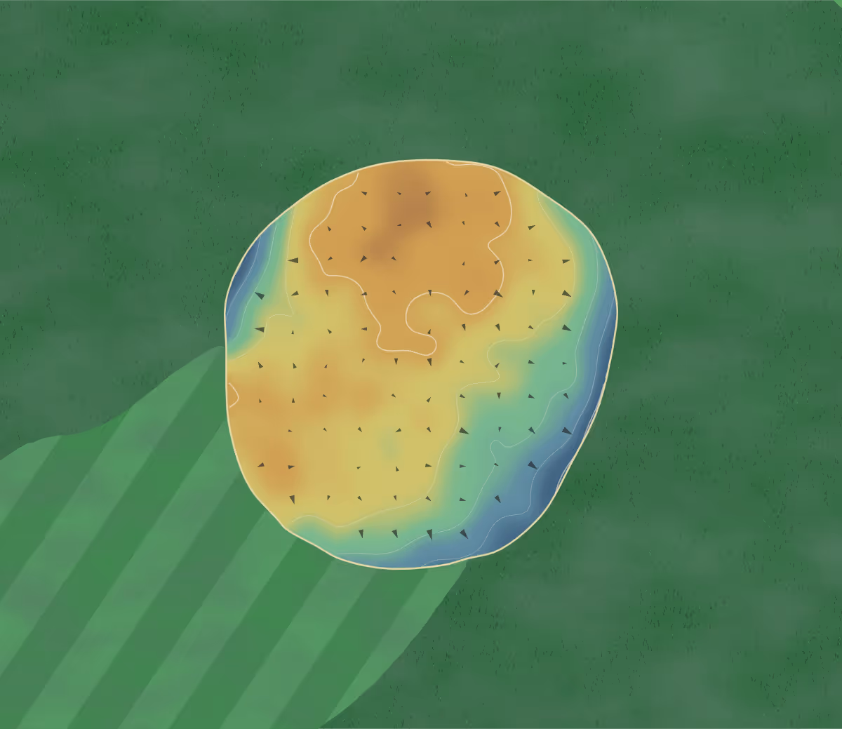 Green contour map of Karori in Makara, New Zealand — 173 elevation contours at a 8-centimeter interval with fall-line arrows, traced from 1-meter lidar