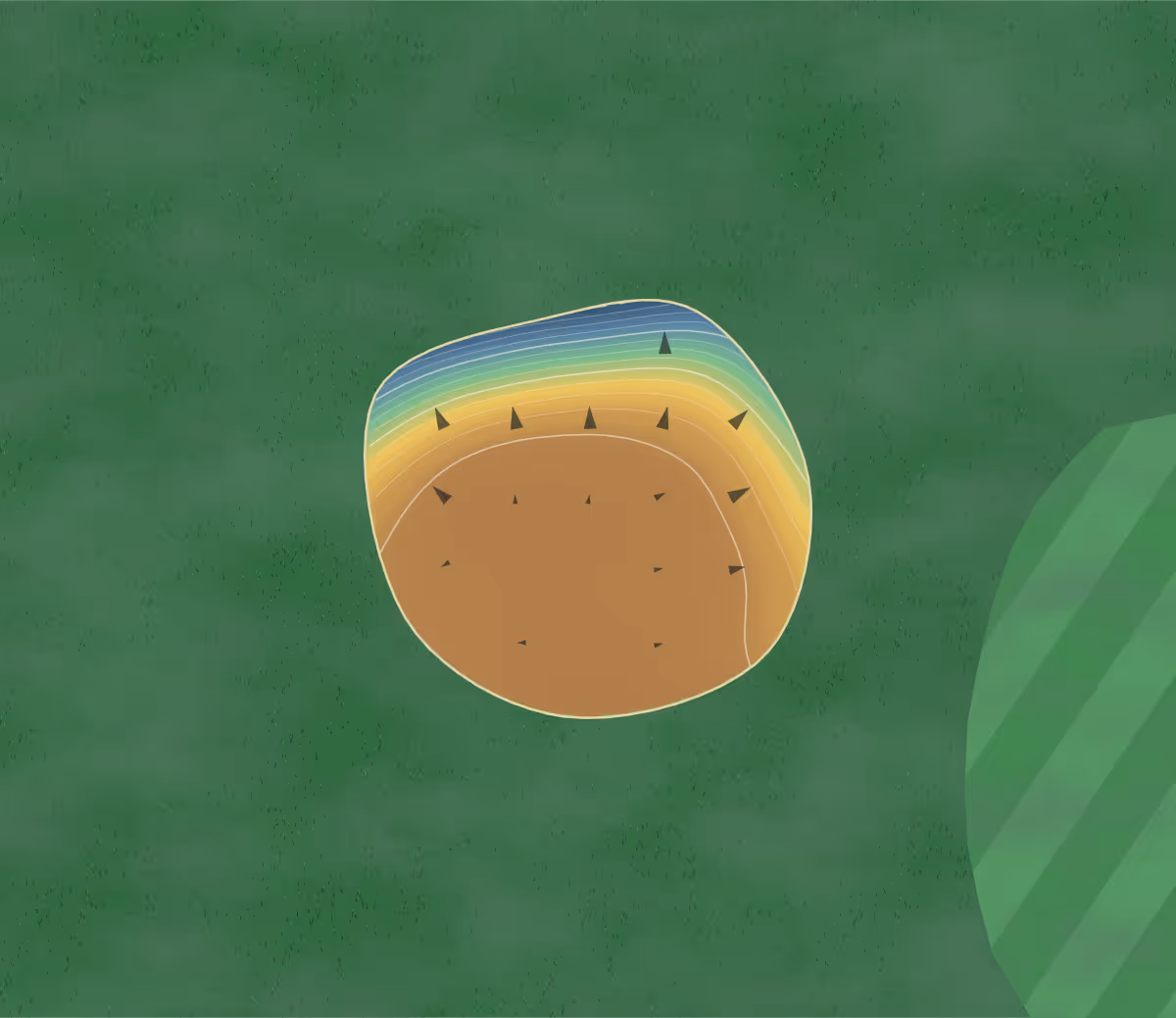 Green contour map of Karuah in Karuah, Australia — 71 elevation contours at a 8-centimeter interval with fall-line arrows, traced from 1-meter lidar