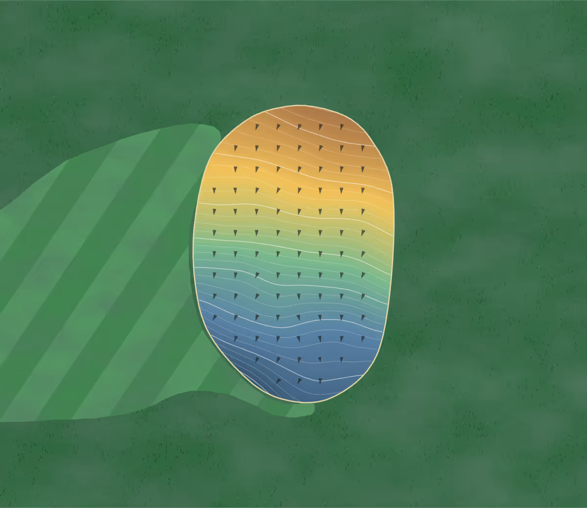 Green contour map of Kastle Greens in Marion, Wisconsin: 218 elevation contours at a 3-inch interval with fall-line arrows, traced from 1-meter lidar