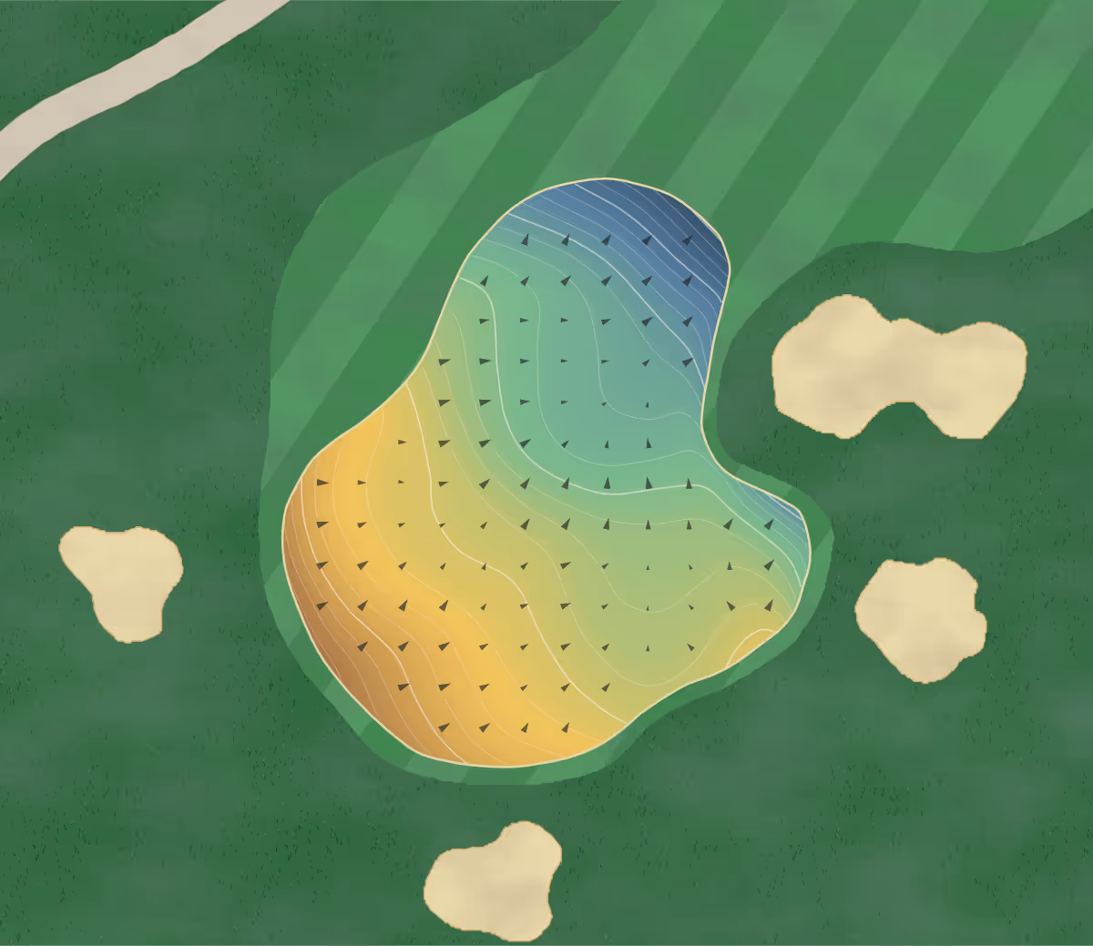 Green contour map of Kauri Cliffs in Matauri Bay, New Zealand — 243 elevation contours at a 8-centimeter interval with fall-line arrows, traced from 1-meter lidar