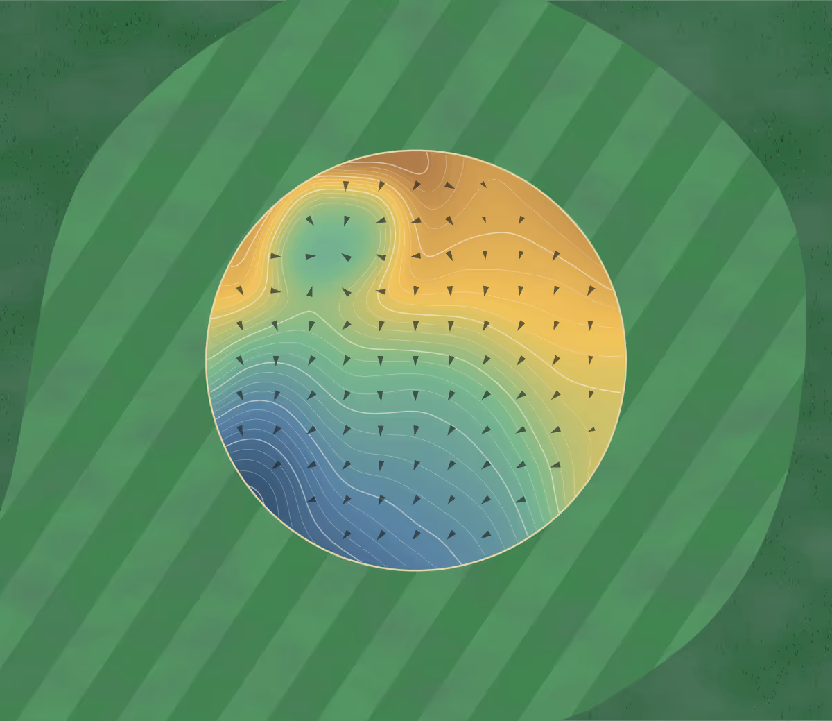 Green contour map of Keowee Key in Salem, South Carolina: 552 elevation contours at a 3-inch interval with fall-line arrows, traced from 1-meter lidar