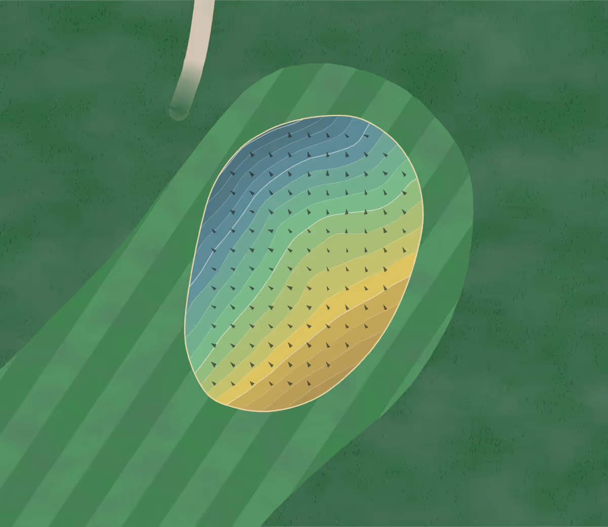 Green contour map of Keswick GC in Keswick, England — 148 elevation contours at a 8-centimeter interval with fall-line arrows, traced from 1-meter lidar