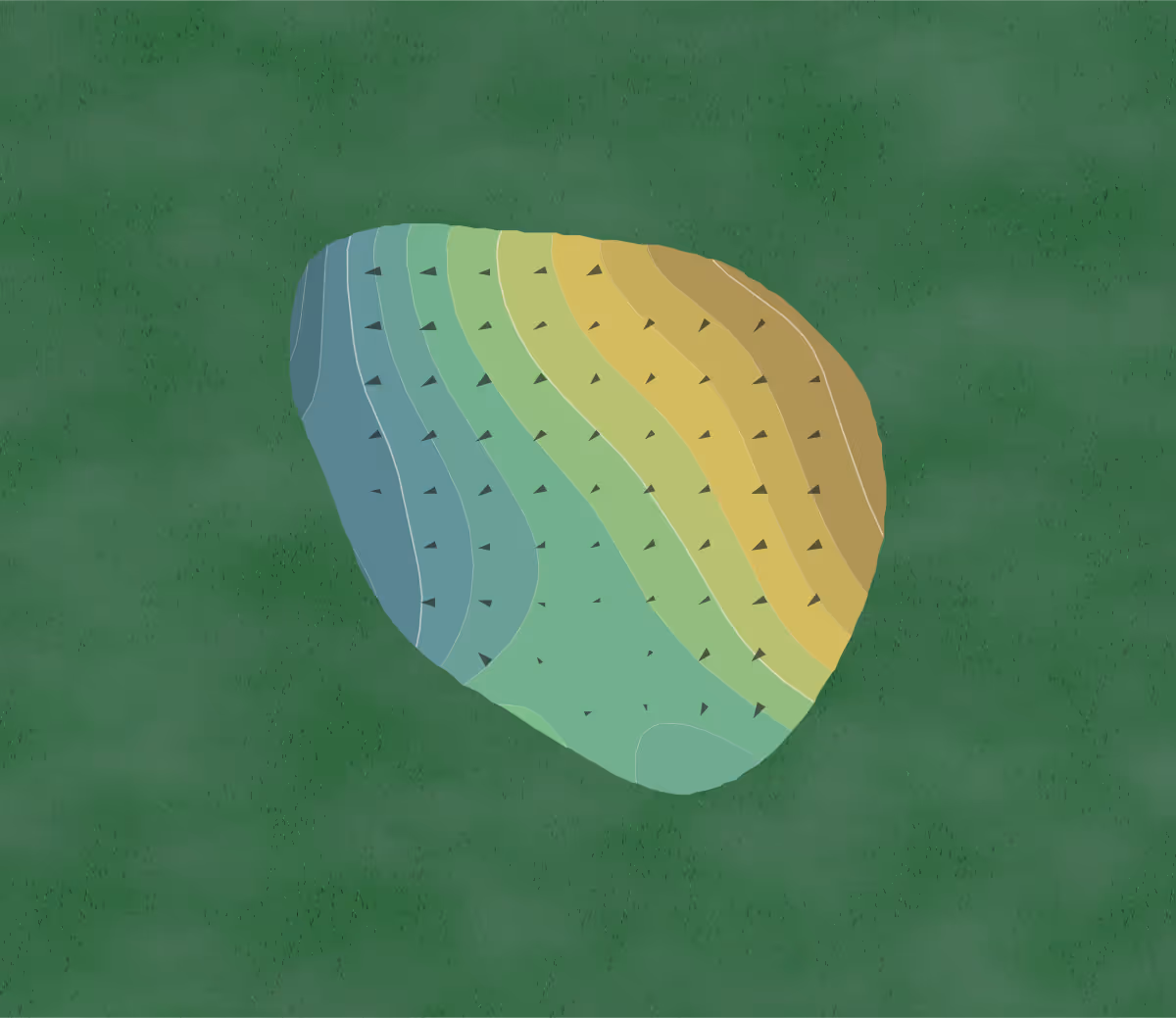 Green contour map of Killearn in Tallahassee, Florida — 58 elevation contours at a 3-inch interval with fall-line arrows, traced from 1-meter lidar