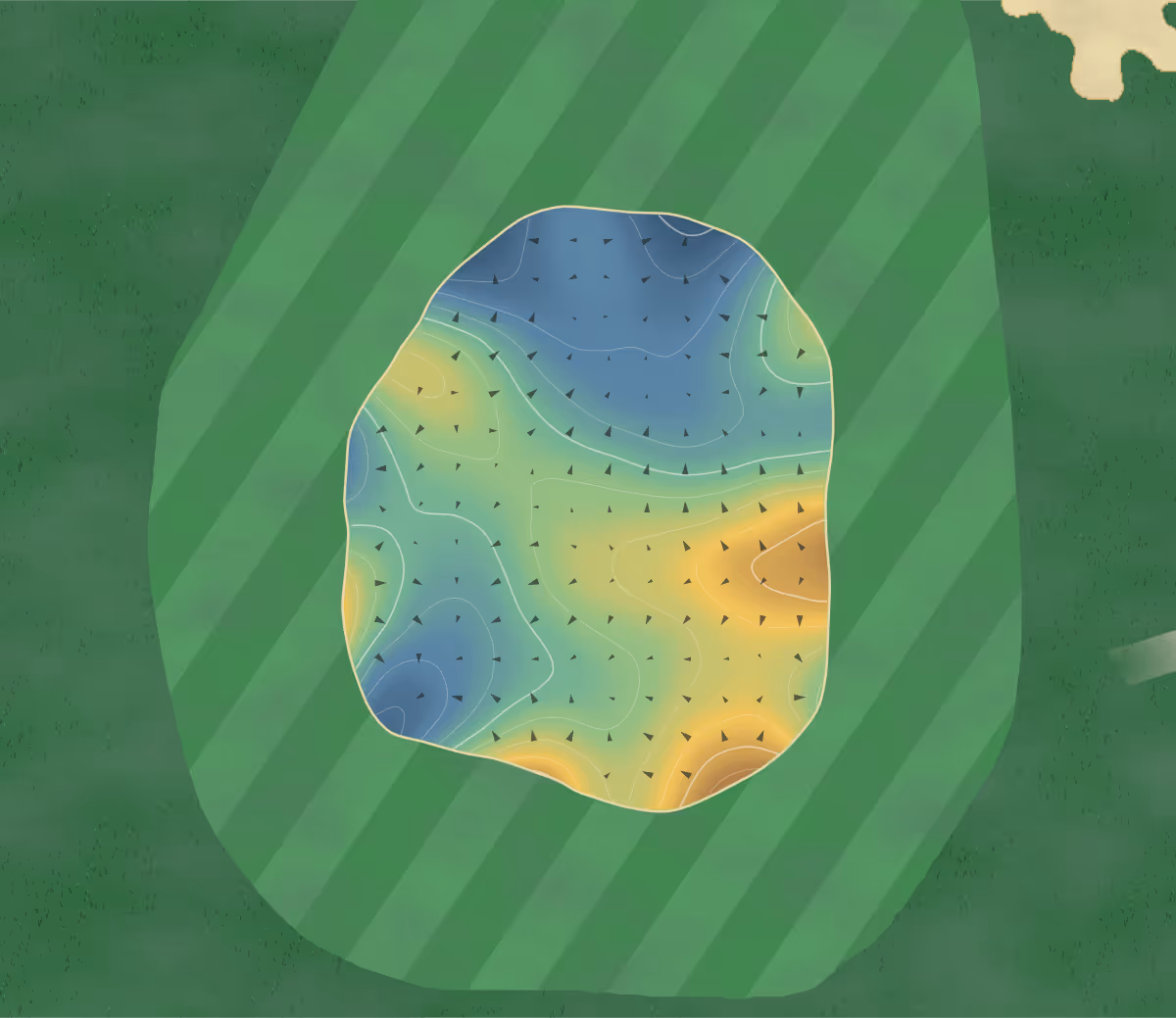 Green contour map of Kings Links in Delta, Canada — 210 elevation contours at a 8-centimeter interval with fall-line arrows, traced from 1-meter lidar