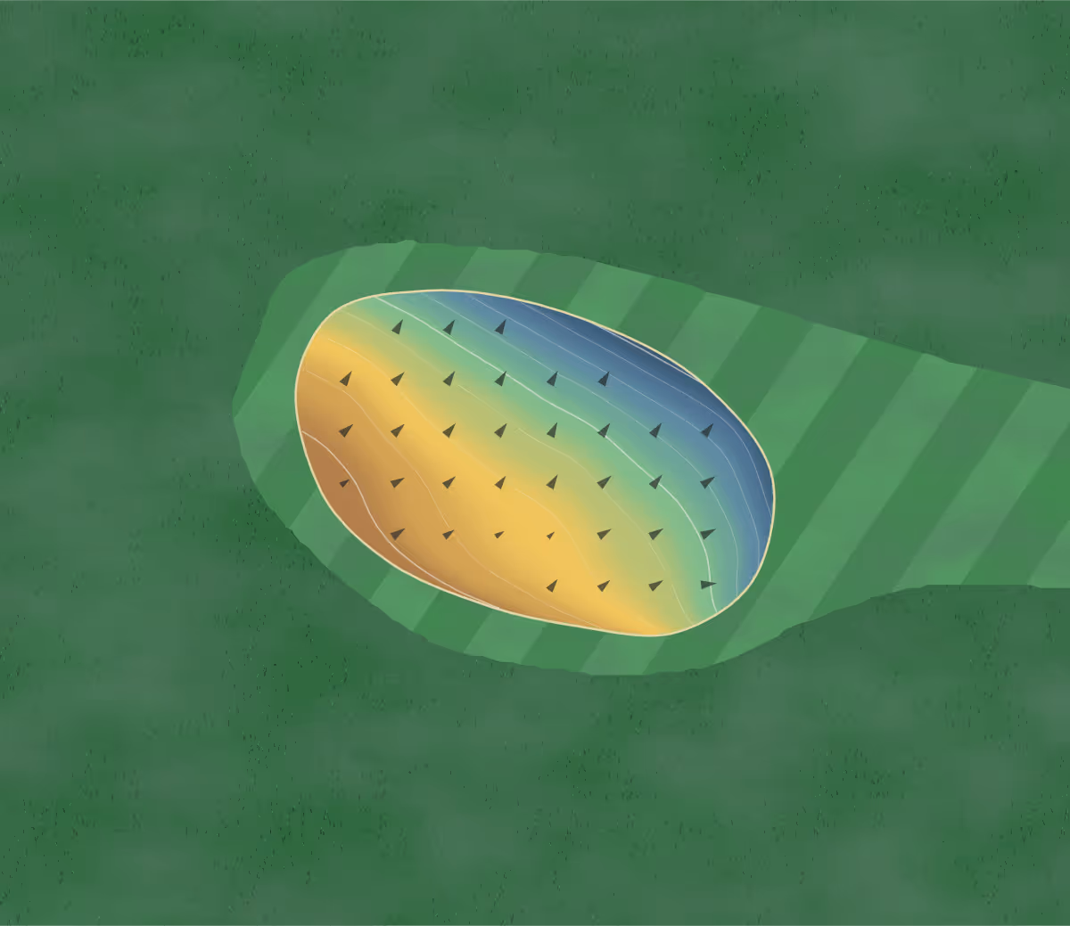 Green contour map of Kinsmen Pitch & Putt in Edmonton, Canada — 87 elevation contours at a 8-centimeter interval with fall-line arrows, traced from 1-meter lidar