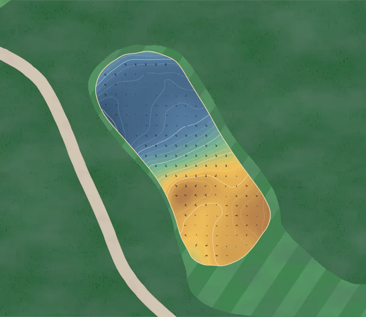 Green contour map of Knollwood in Lynden, Canada — 209 elevation contours at a 8-centimeter interval with fall-line arrows, traced from 1-meter lidar