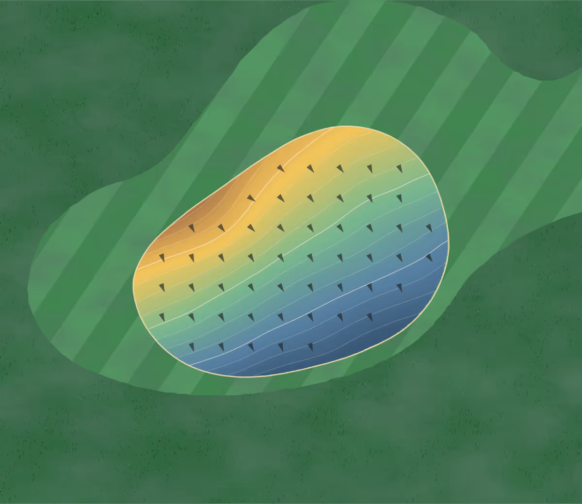 Green contour map of Knoxville Municipal in Knoxville, Tennessee — 119 elevation contours at a 3-inch interval with fall-line arrows, traced from 1-meter lidar