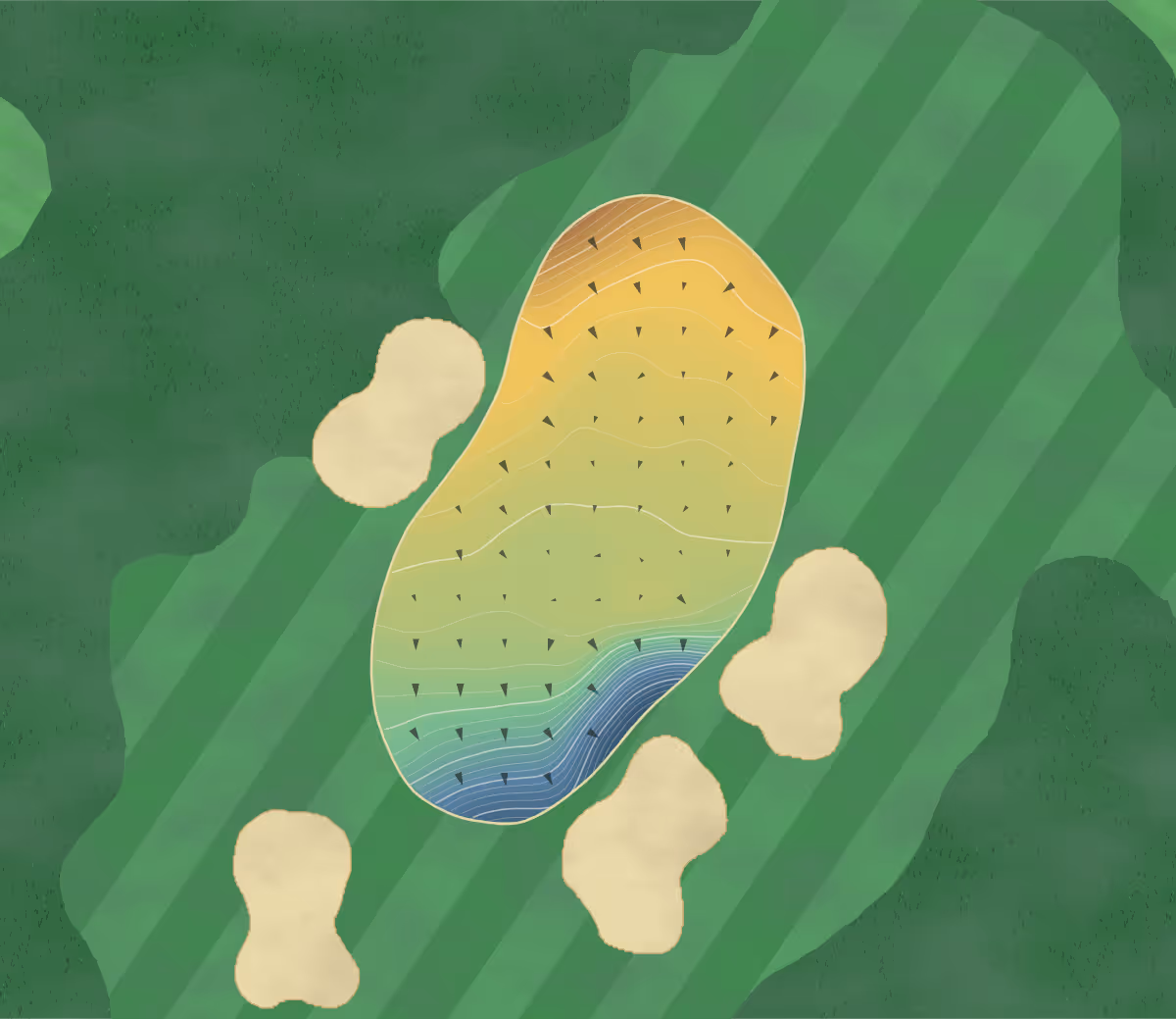 Green contour map of Kooyonga in Lockleys, Australia — 256 elevation contours at a 8-centimeter interval with fall-line arrows, traced from 1-meter lidar