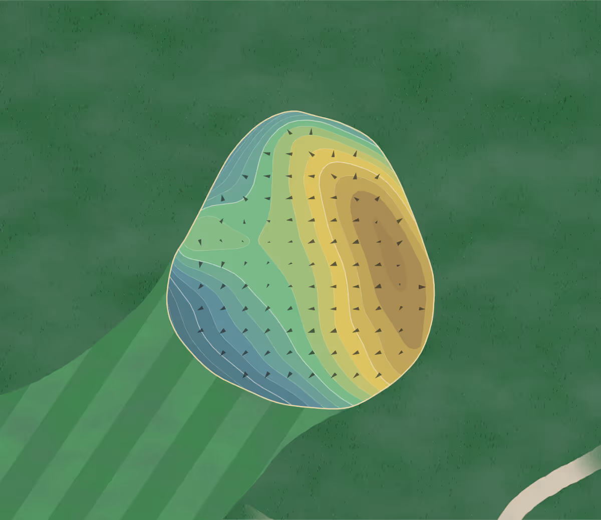 Green contour map of Krooked Kreek in Osceola, Wisconsin — 230 elevation contours at a 3-inch interval with fall-line arrows, traced from 1-meter lidar