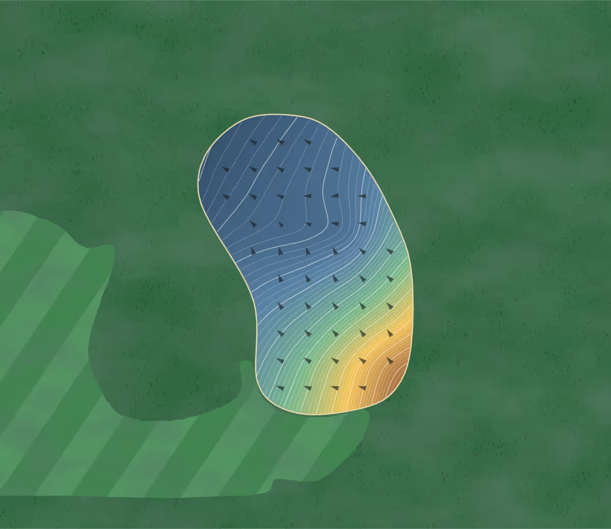 Green contour map of Kumamoto Aso in Aso, Japan: 168 elevation contours at a 8-centimeter interval with fall-line arrows, traced from 1-meter lidar