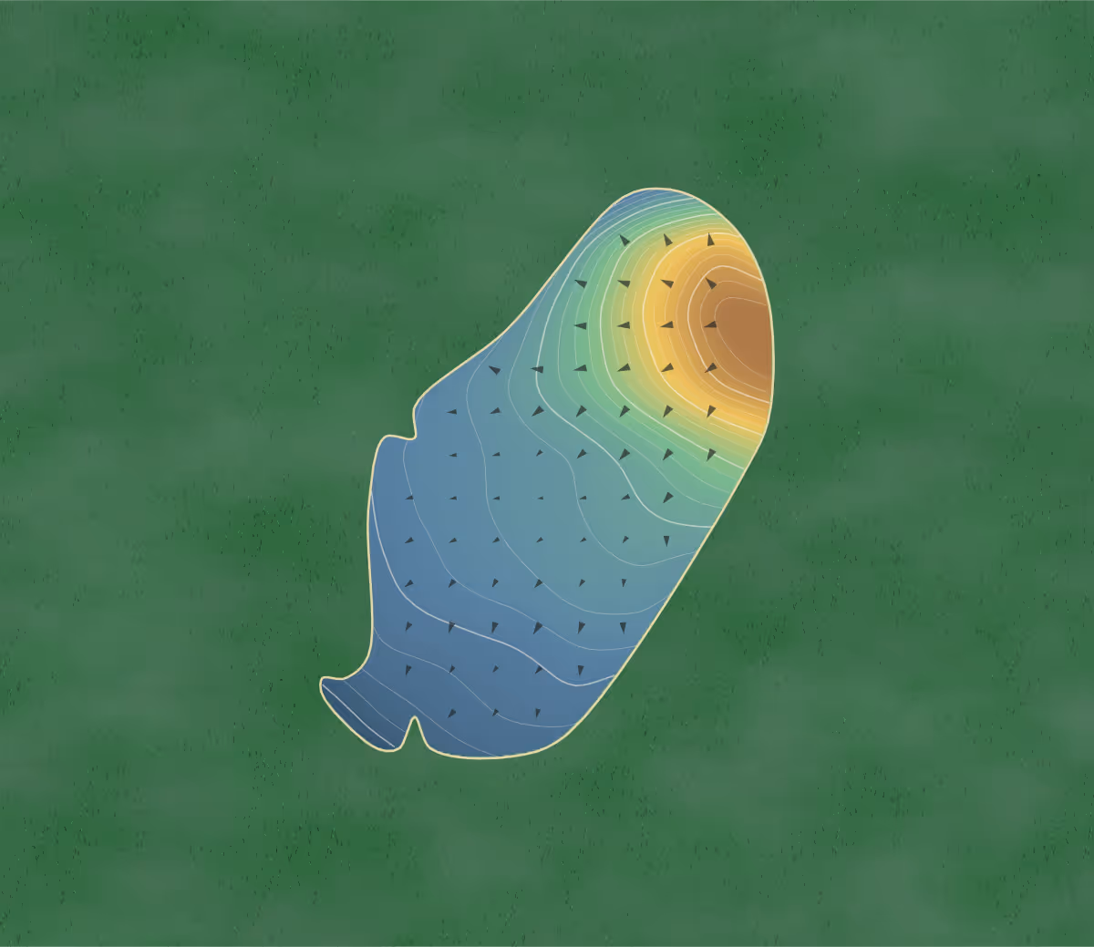 Green contour map of Kuwana in Kuwana, Japan: 371 elevation contours at a 8-centimeter interval with fall-line arrows, traced from 1-meter lidar