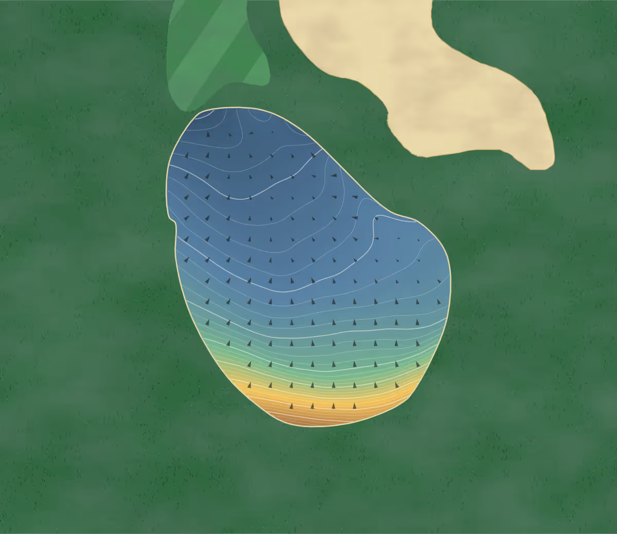 Green contour map of La Bête in Mont Tremblant, Canada: 294 elevation contours at a 8-centimeter interval with fall-line arrows, traced from 1-meter lidar