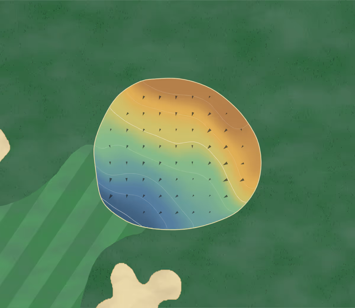 Green contour map of Ladies' Golf Club in Thornhill, Canada: 7 elevation contours at a 8-centimeter interval with fall-line arrows, traced from 1-meter lidar