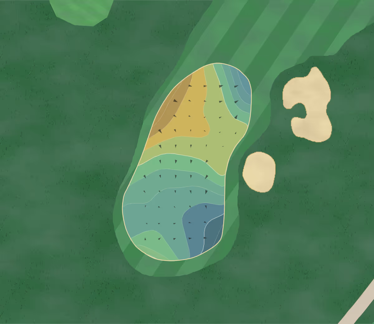 Green contour map of Lady Bird Johnson in Fredericksburg, Texas — 165 elevation contours at a 3-inch interval with fall-line arrows, traced from 1-meter lidar