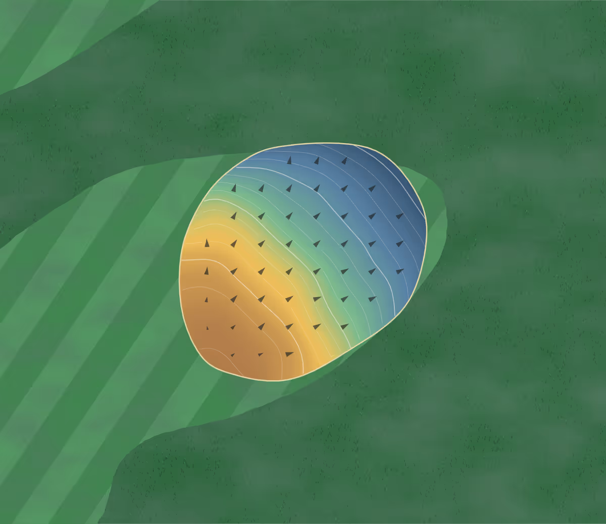 Green contour map of Ladysmith in Ladysmith, Canada: 39 elevation contours at a 8-centimeter interval with fall-line arrows, traced from 1-meter lidar
