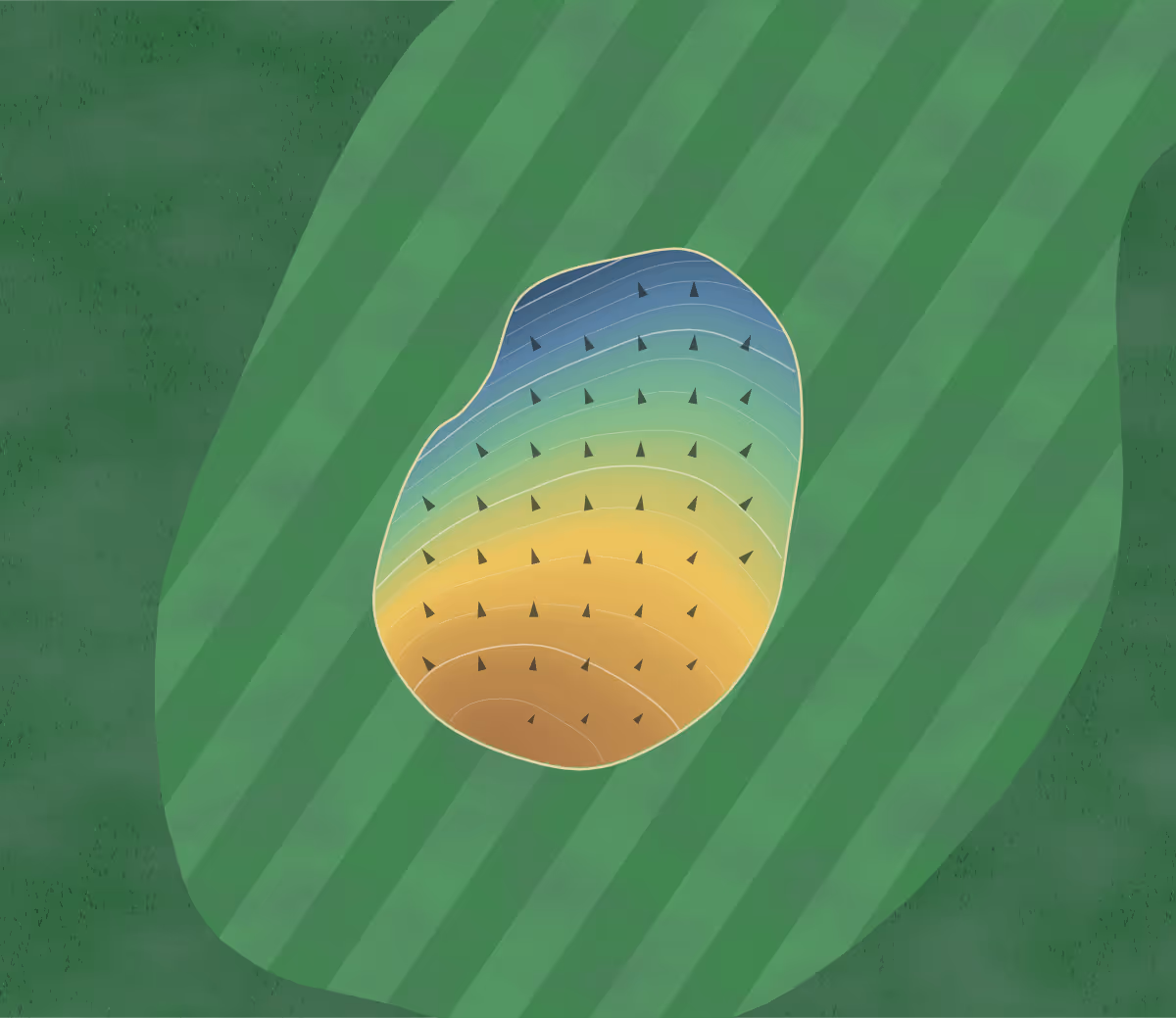 Green contour map of Lake City in Lake City, Iowa — 77 elevation contours at a 3-inch interval with fall-line arrows, traced from 1-meter lidar