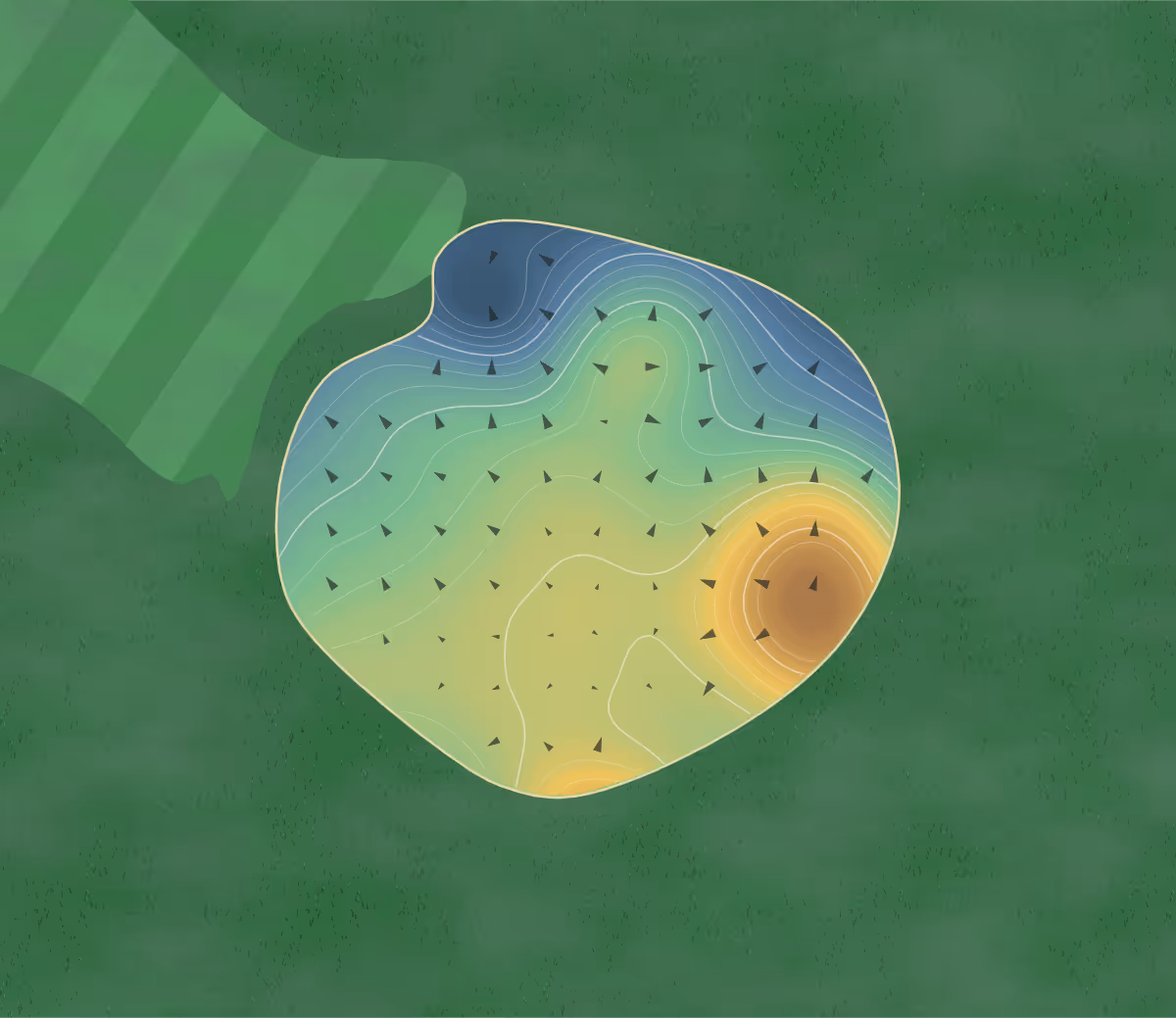 Green contour map of Lake Estates in Trinity, Texas: 95 elevation contours at a 3-inch interval with fall-line arrows, traced from 1-meter lidar