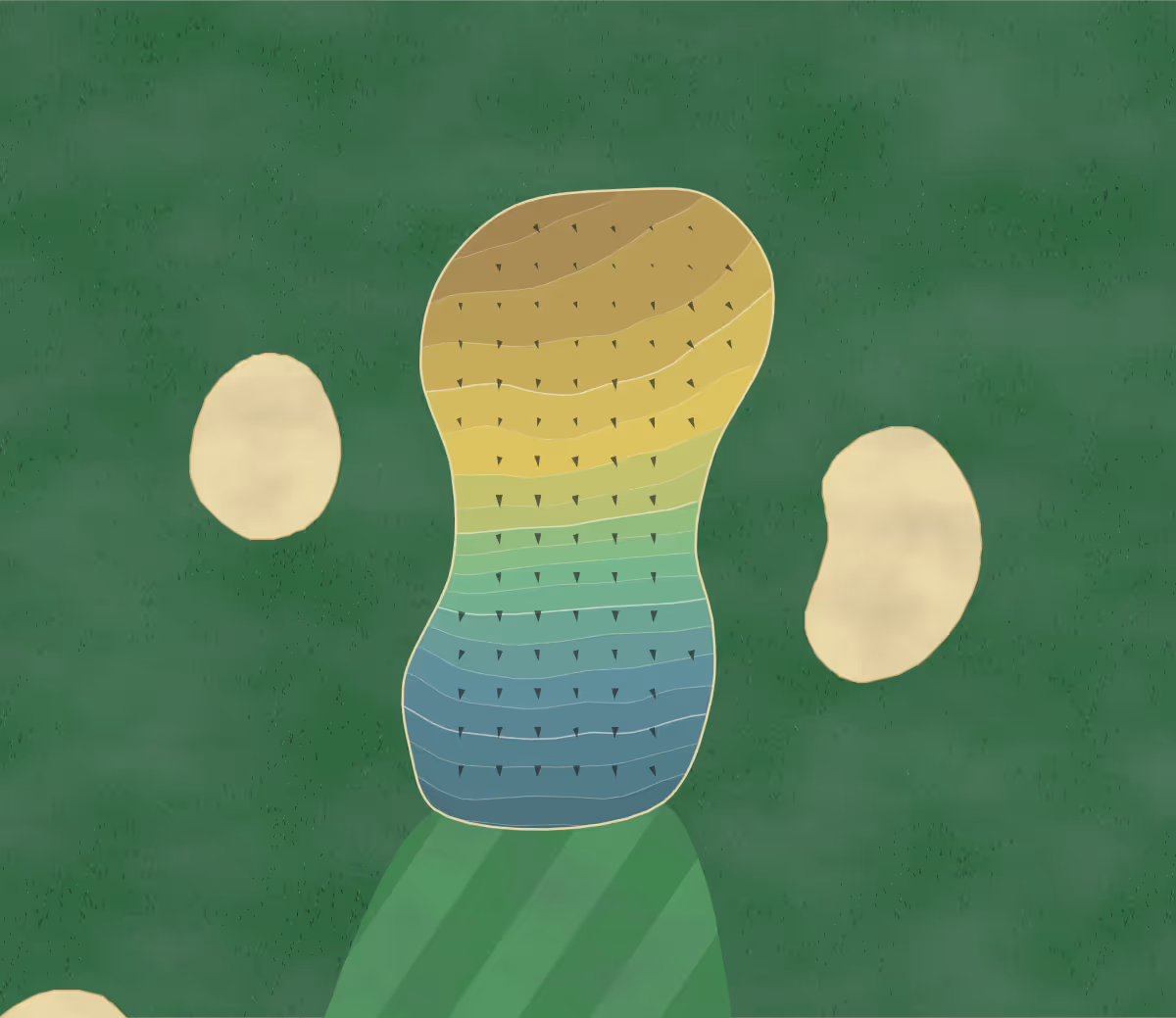 Green contour map of Lake Forest in Ann Arbor, Michigan — 180 elevation contours at a 3-inch interval with fall-line arrows, traced from 1-meter lidar