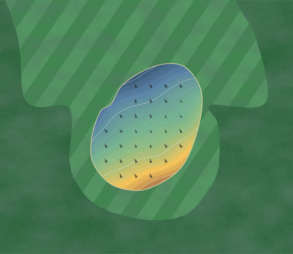 Green contour map of Lake Hickory in Hickory, North Carolina: 88 elevation contours at a 3-inch interval with fall-line arrows, traced from 1-meter lidar