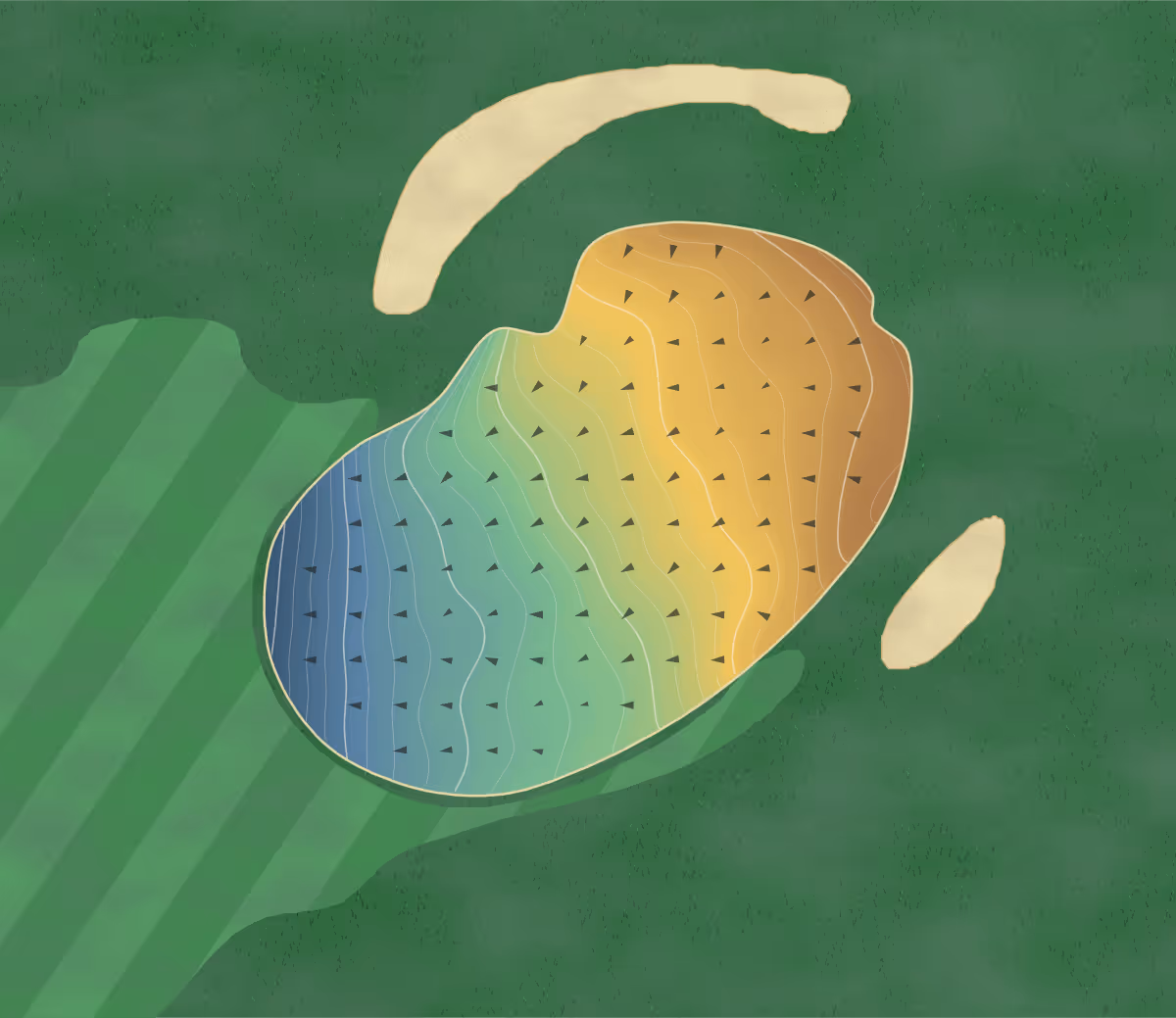 Green contour map of Lake Placid Club in Lake Placid, New York — 227 elevation contours at a 3-inch interval with fall-line arrows, traced from 1-meter lidar