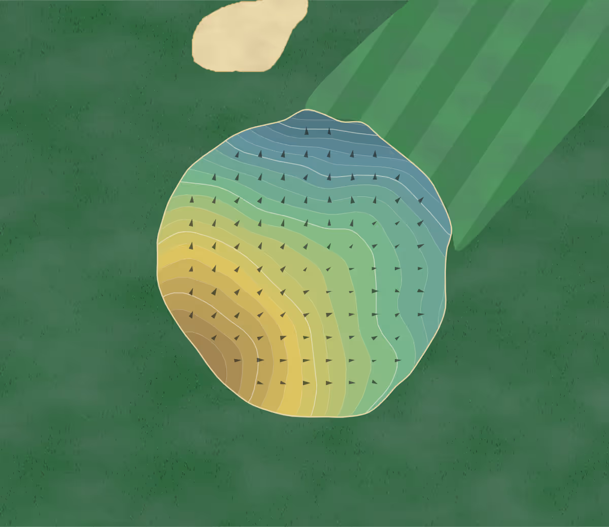 Green contour map of Lakeland Hills in Michigan, United States — 220 elevation contours at a 3-inch interval with fall-line arrows, traced from 1-meter lidar