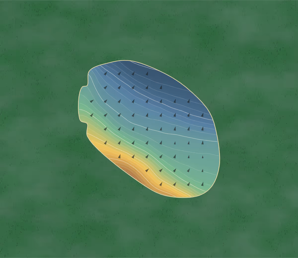 Green contour map of Lakeshore in Madisonville, Kentucky: 345 elevation contours at a 3-inch interval with fall-line arrows, traced from 1-meter lidar