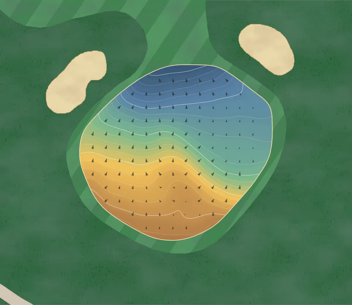 Green contour map of Lakeshore in Taylorville, New York — 157 elevation contours at a 3-inch interval with fall-line arrows, traced from 1-meter lidar