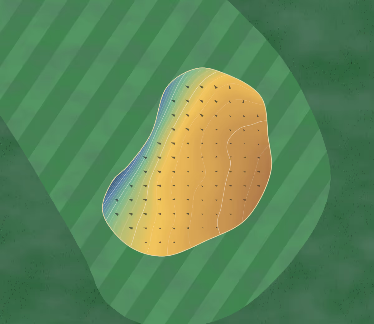 Green contour map of Lakeside in Penn Yan, New York — 230 elevation contours at a 3-inch interval with fall-line arrows, traced from 1-meter lidar