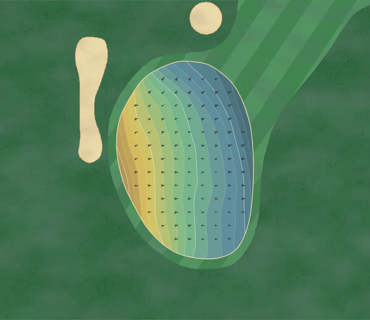 Green contour map of Lakeside Golf in Lexington, Kentucky — 175 elevation contours at a 3-inch interval with fall-line arrows, traced from 1-meter lidar