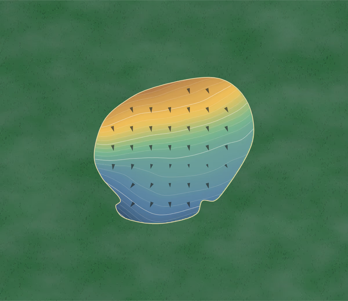 Green contour map of Lakewinds in Nottingham, Alabama: 176 elevation contours at a 3-inch interval with fall-line arrows, traced from 1-meter lidar