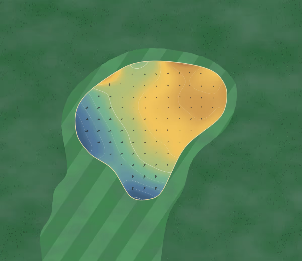 Green contour map of Langley in Fort Langley, Canada — 136 elevation contours at a 8-centimeter interval with fall-line arrows, traced from 1-meter lidar