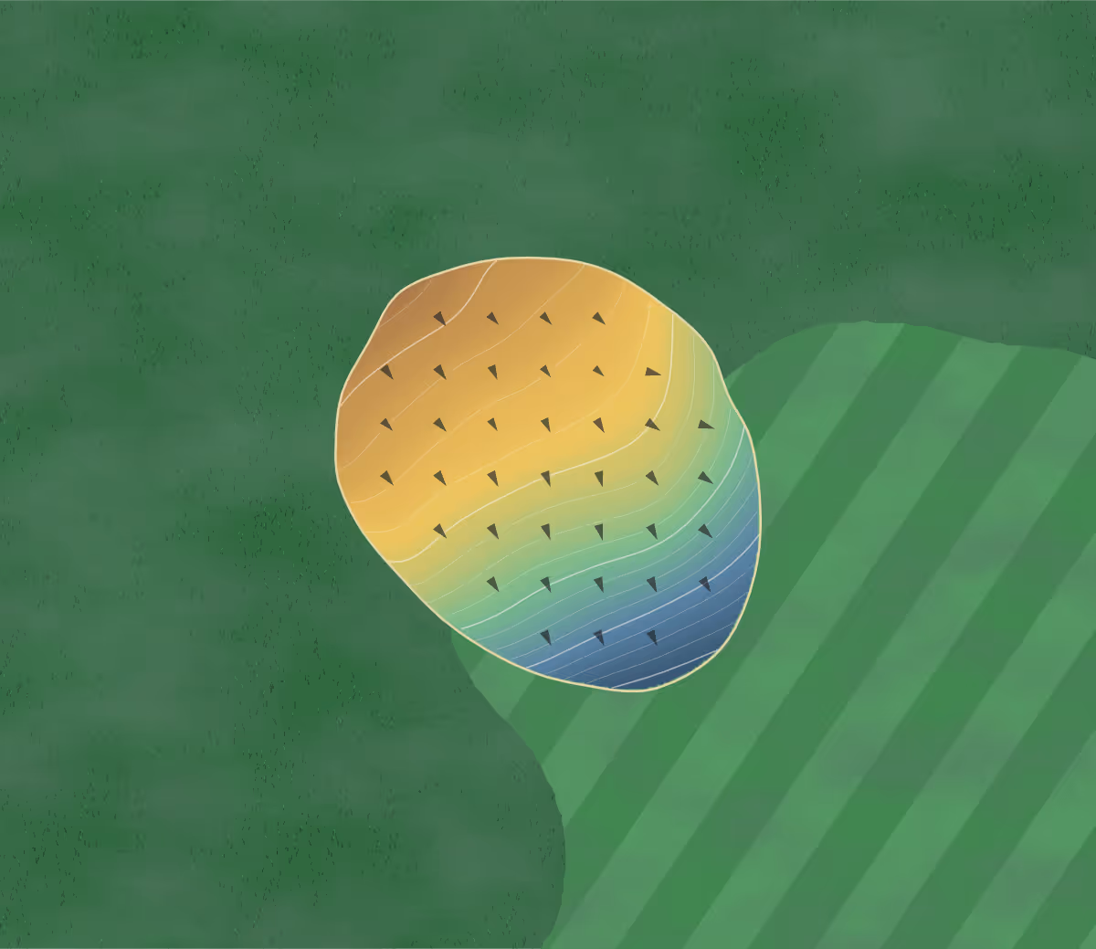 Green contour map of Larrimac in Chelsea, Canada — 117 elevation contours at a 8-centimeter interval with fall-line arrows, traced from 1-meter lidar
