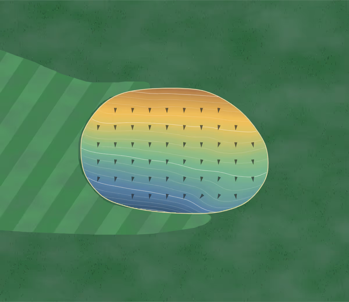 Green contour map of Lauderdale Lakes in Elkhorn, Wisconsin: 58 elevation contours at a 3-inch interval with fall-line arrows, traced from 1-meter lidar