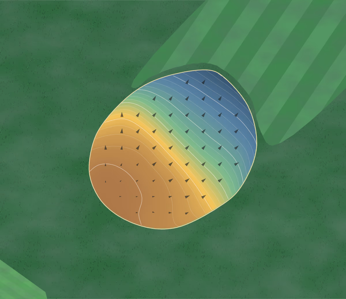 Green contour map of Laurel Ridge CC in Waynesville, North Carolina: 168 elevation contours at a 3-inch interval with fall-line arrows, traced from 1-meter lidar