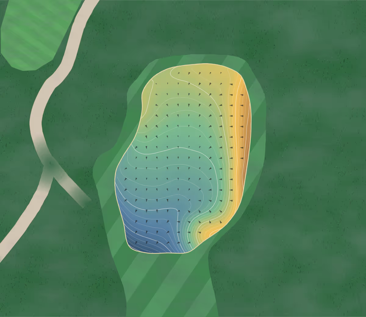 Green contour map of Laytown & Bettystown in Bettystown, Ireland — 224 elevation contours at a 8-centimeter interval with fall-line arrows, traced from 1-meter lidar