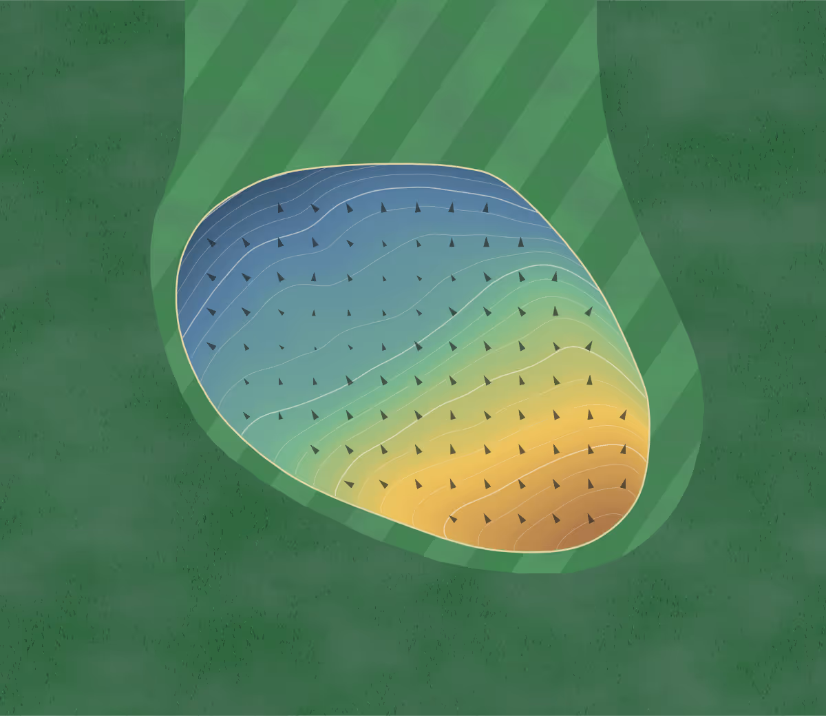 Green contour map of Ledge Meadows in Grand Ledge, Michigan: 206 elevation contours at a 3-inch interval with fall-line arrows, traced from 1-meter lidar
